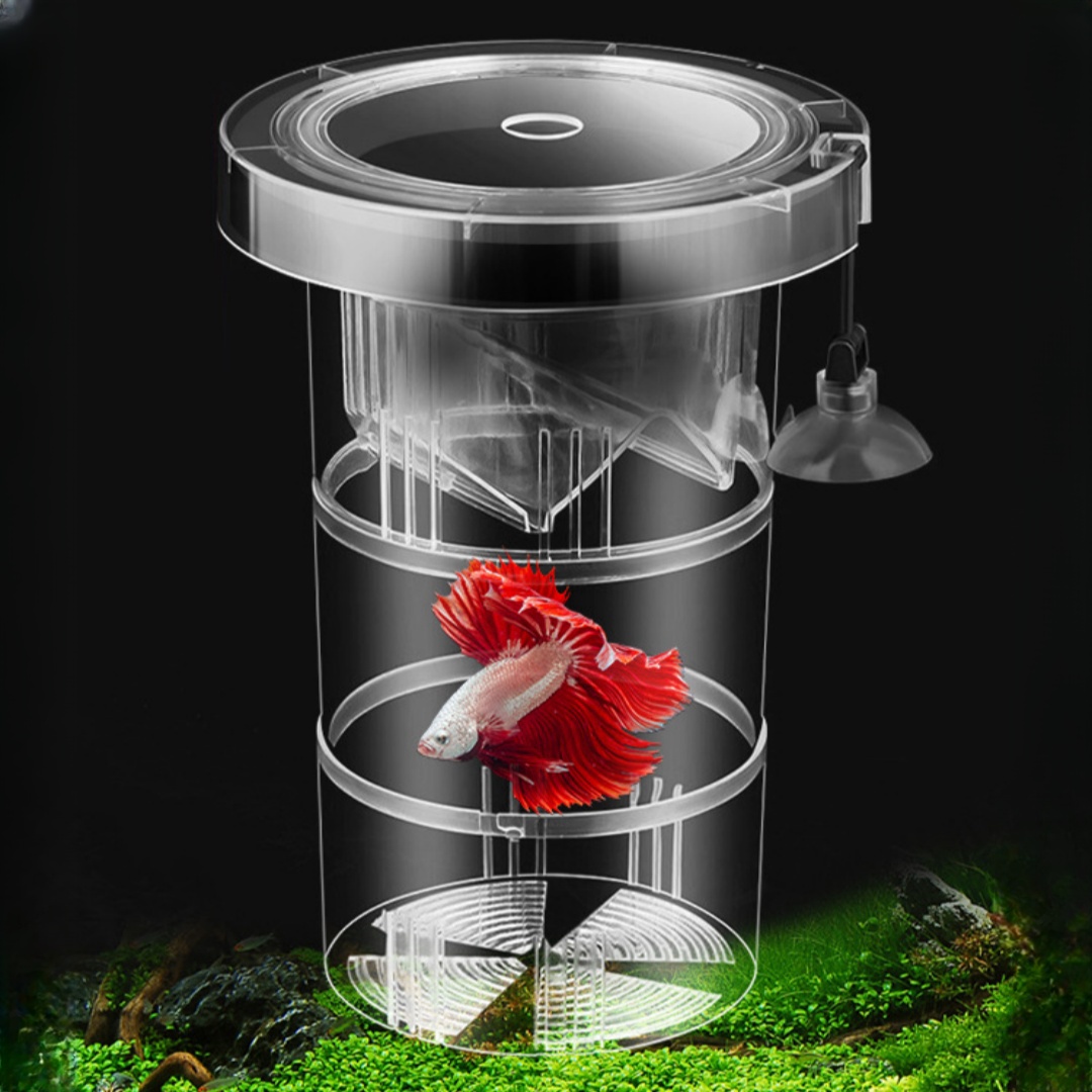 Aquarium Fish Real - Acrylic Floating Fish Breeding Isolation Box