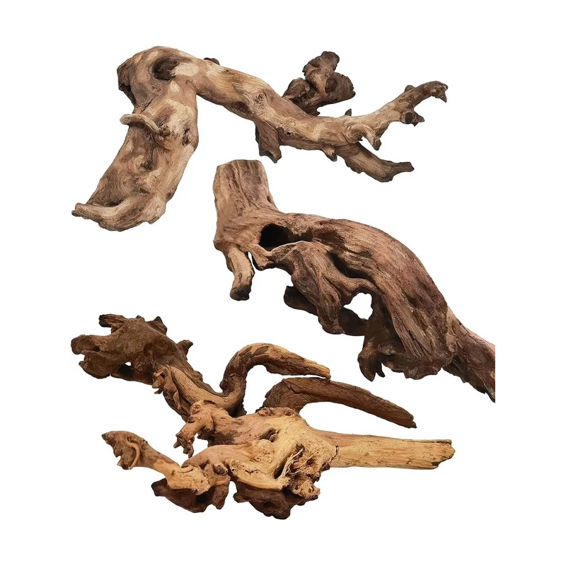 Natural Driftwood for Aquarium - огляд і ціна Aquarium Fish Diseases