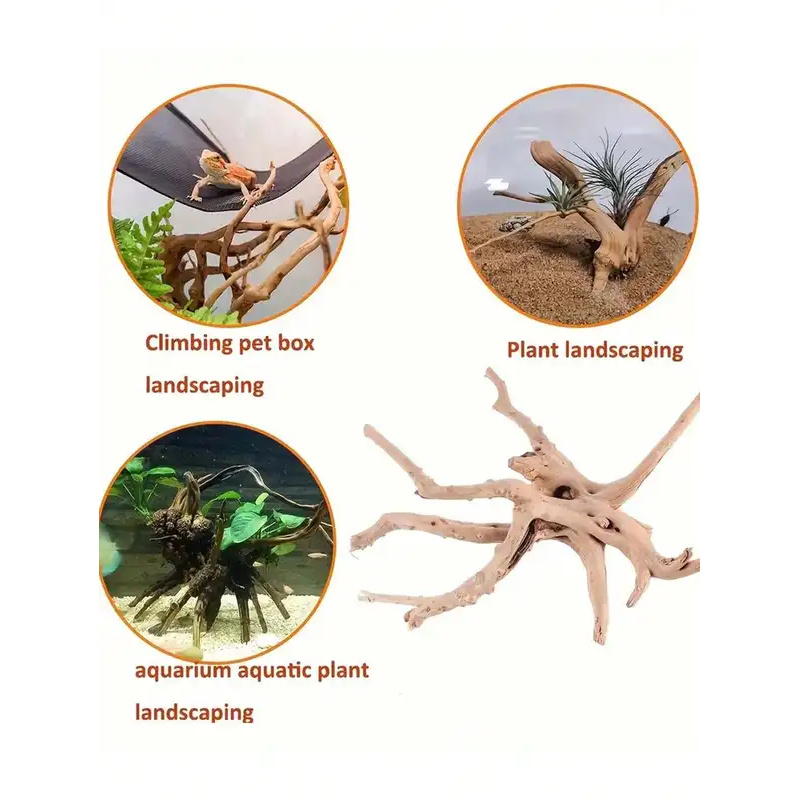 Natural Driftwood for Aquarium - огляд і ціна Aquarium Fish Diseases