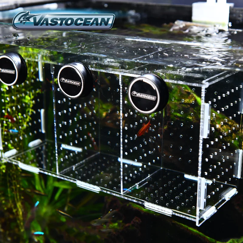 VASTOCEAN Fish Tank Magnetic C - огляд і ціна Aquarium Fish Real