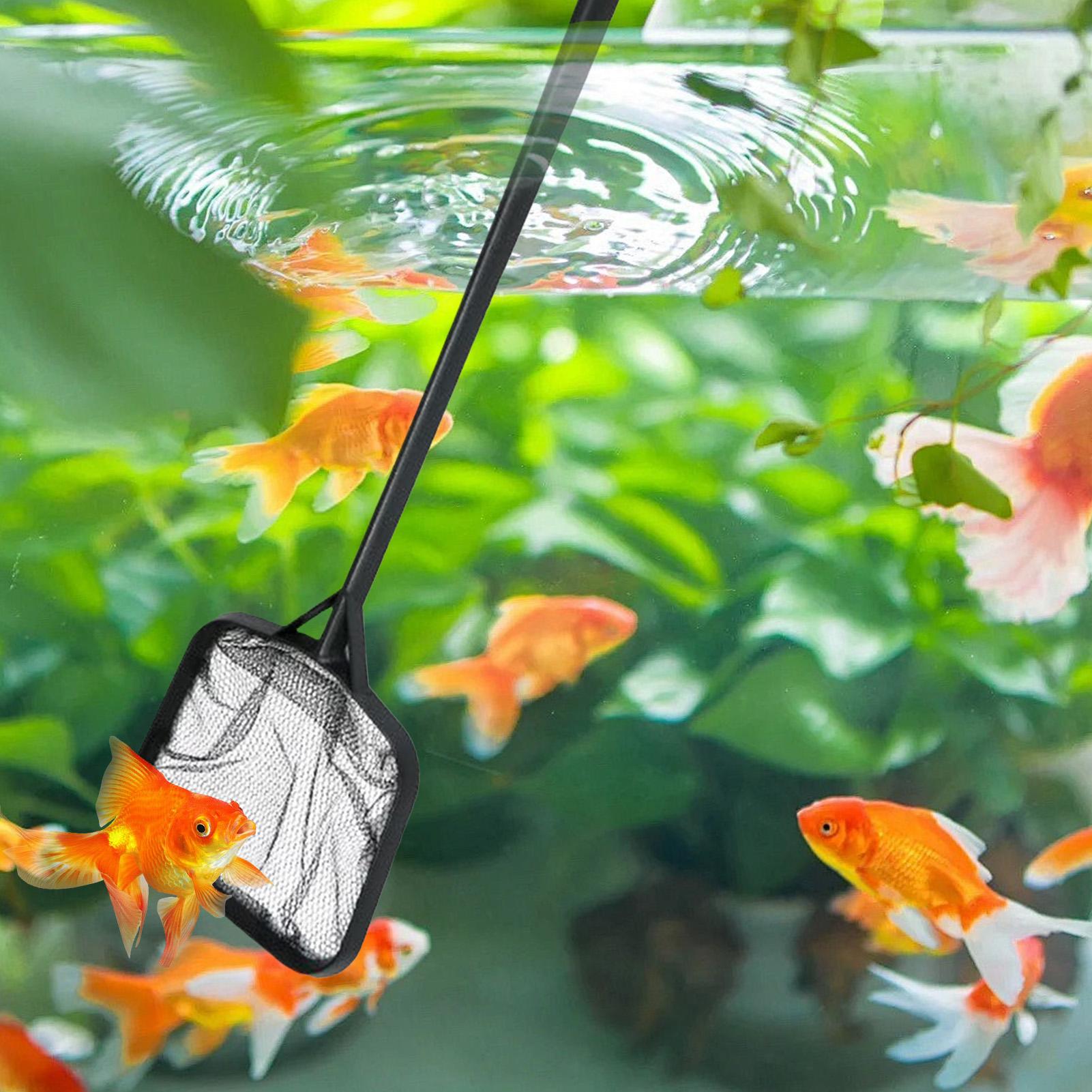 Pool Nets for Cleaning Portabl - огляд і ціна Aquarium Fish Real