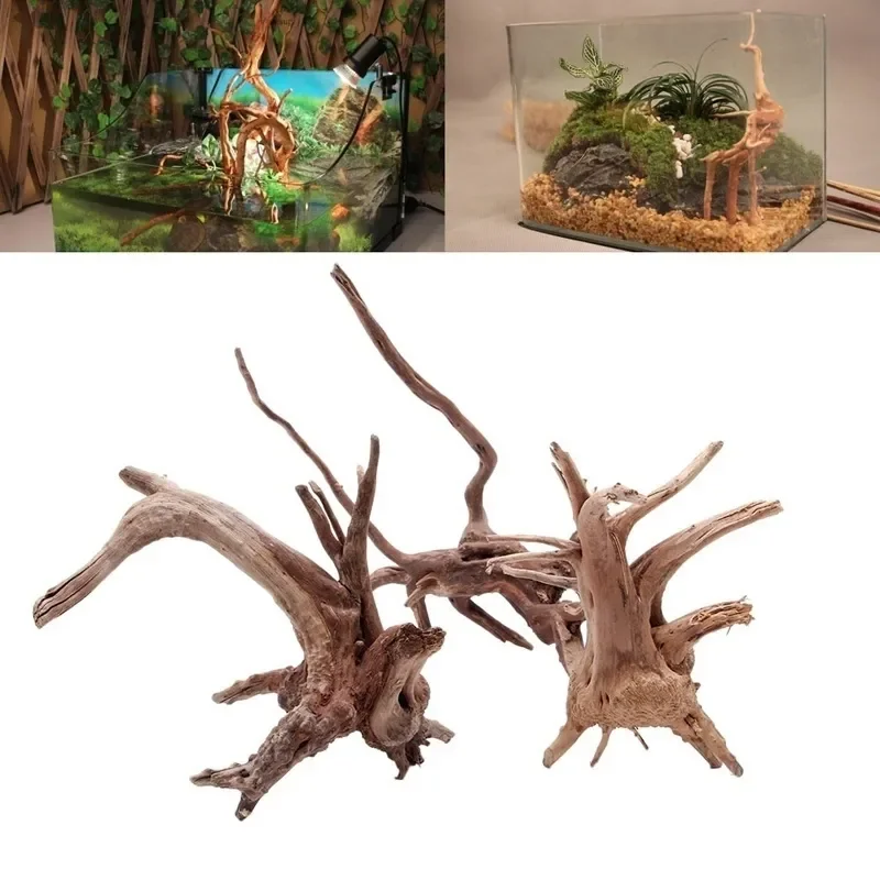 Natural Tree Trunk Driftwood A - огляд і ціна Aquarium Fish Diseases
