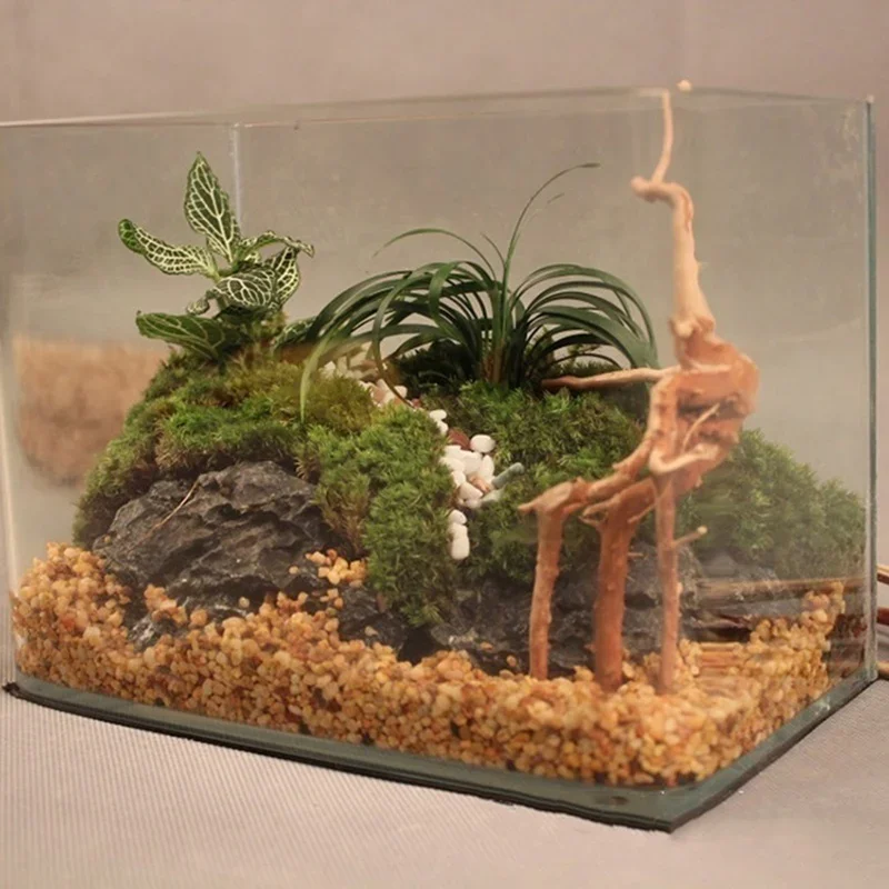 Natural Tree Trunk Driftwood A - огляд і ціна Aquarium Fish Diseases