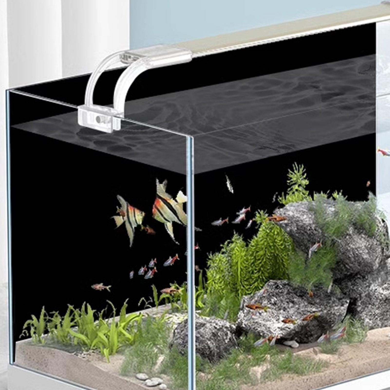Black Aquarium Background Stat - огляд і ціна Aquarium Fish Black