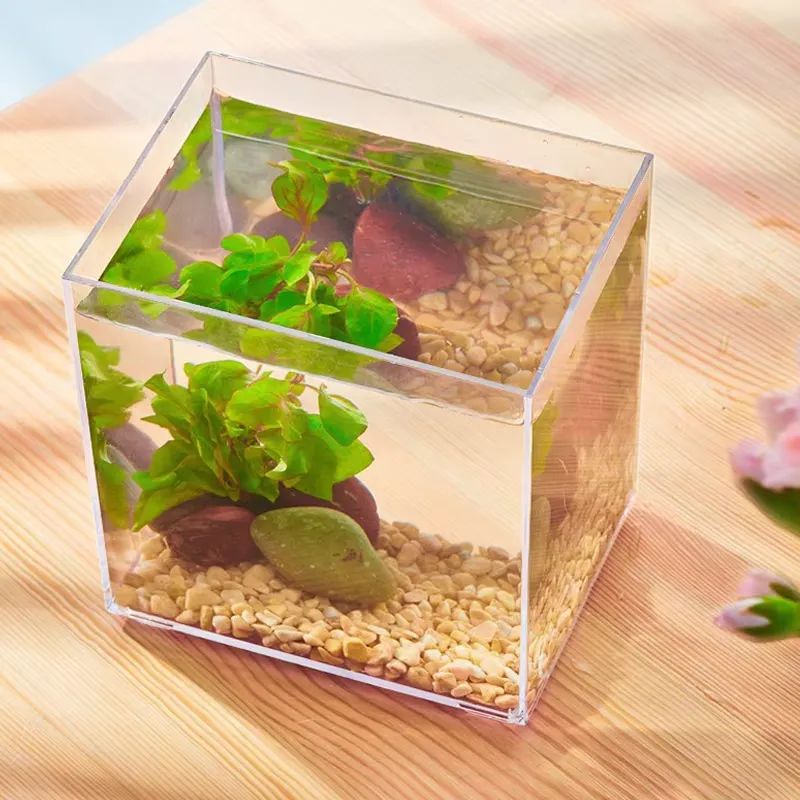 Factory Wholesale Small Fish t - огляд і ціна Aquarium Fish Small