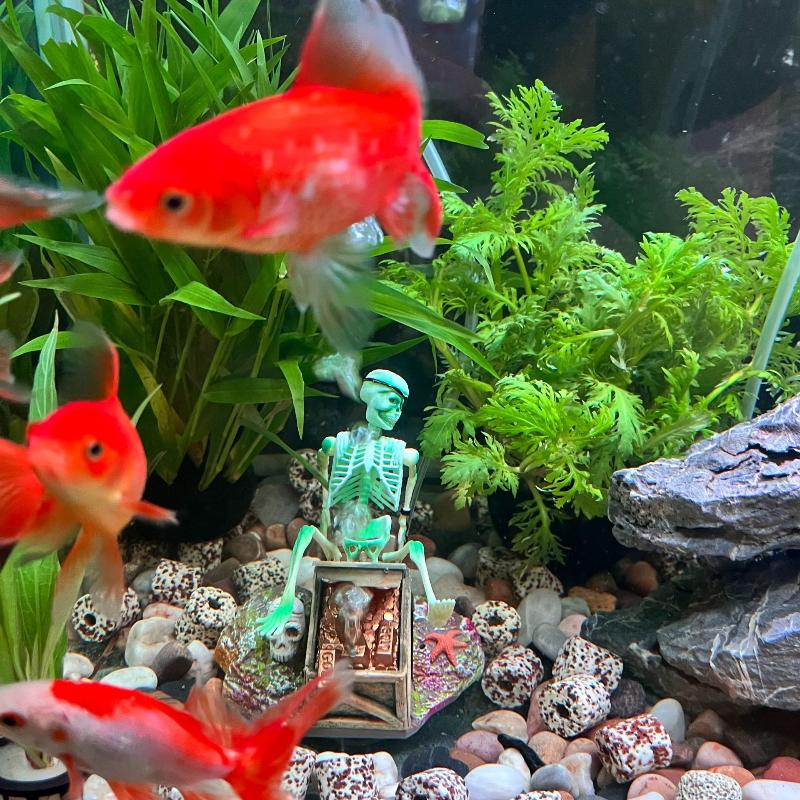 Fish Tank Aerobic Landscape Bu - огляд і ціна Aquarium Fish Diseases