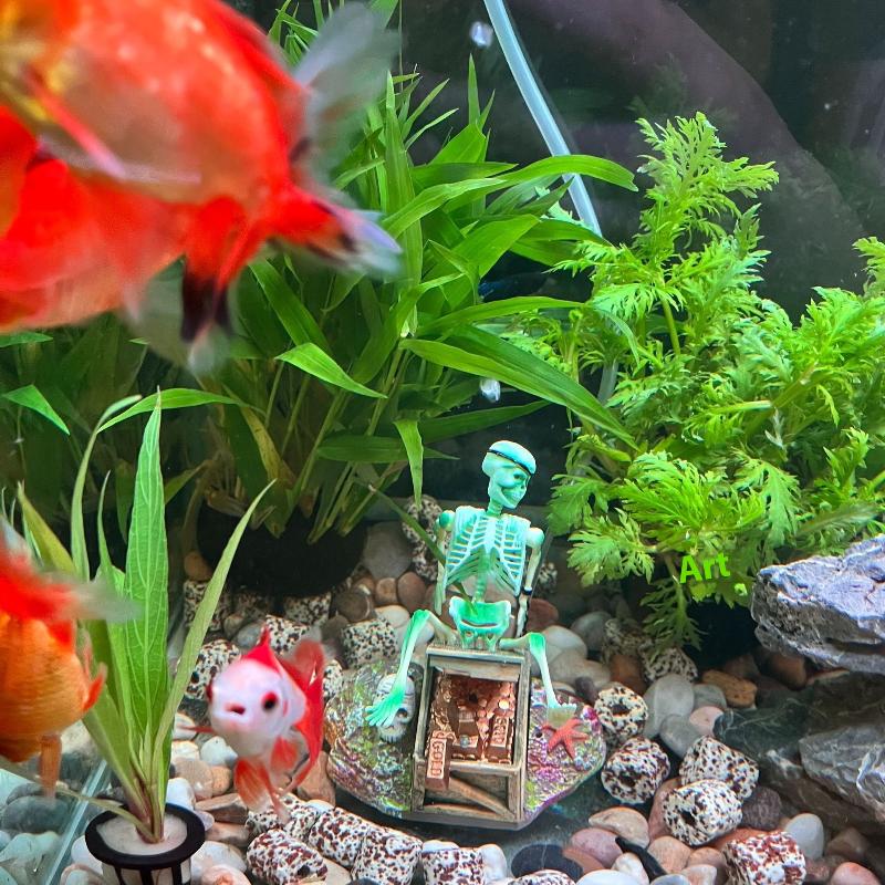 Fish Tank Aerobic Landscape Bu - огляд і ціна Aquarium Fish Diseases