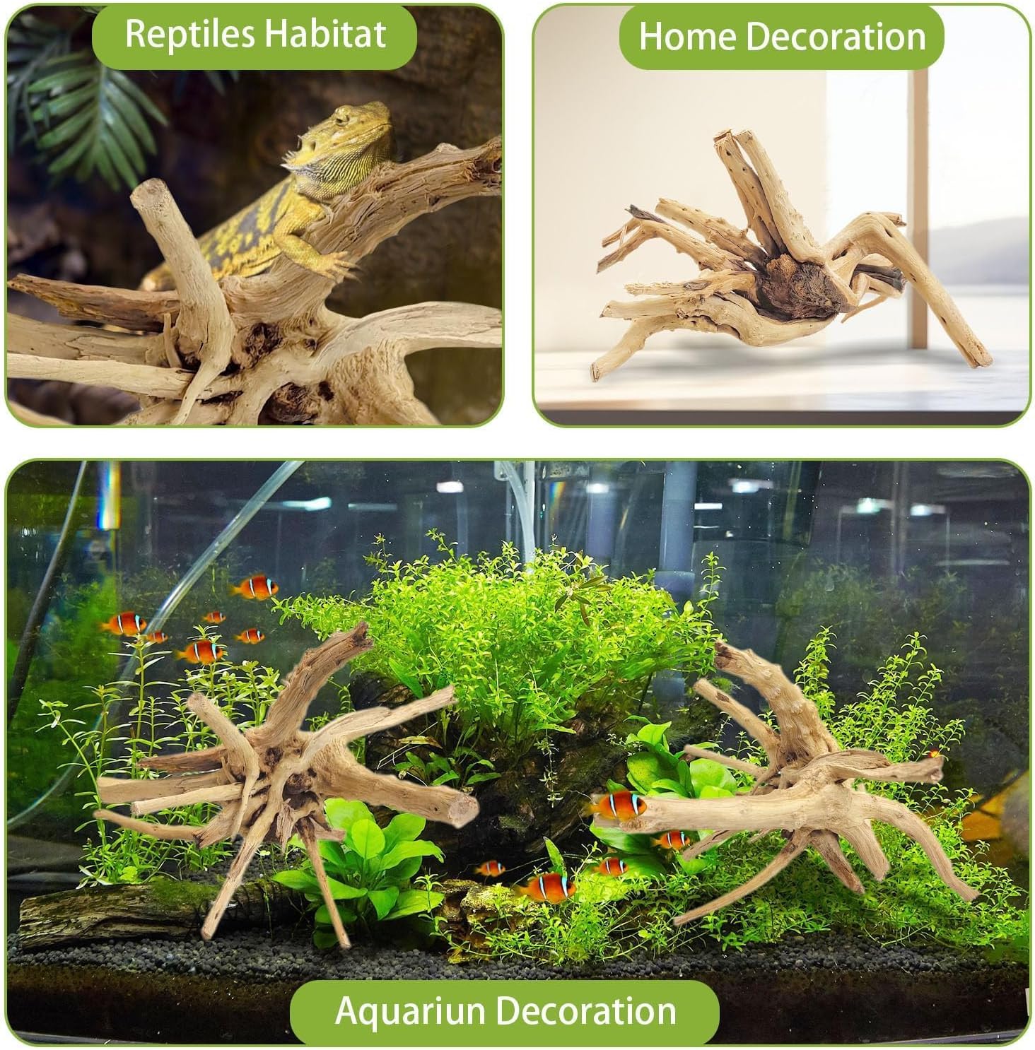 1PC  20-25CM Natural Driftwood - огляд і ціна Aquarium Fish Diseases