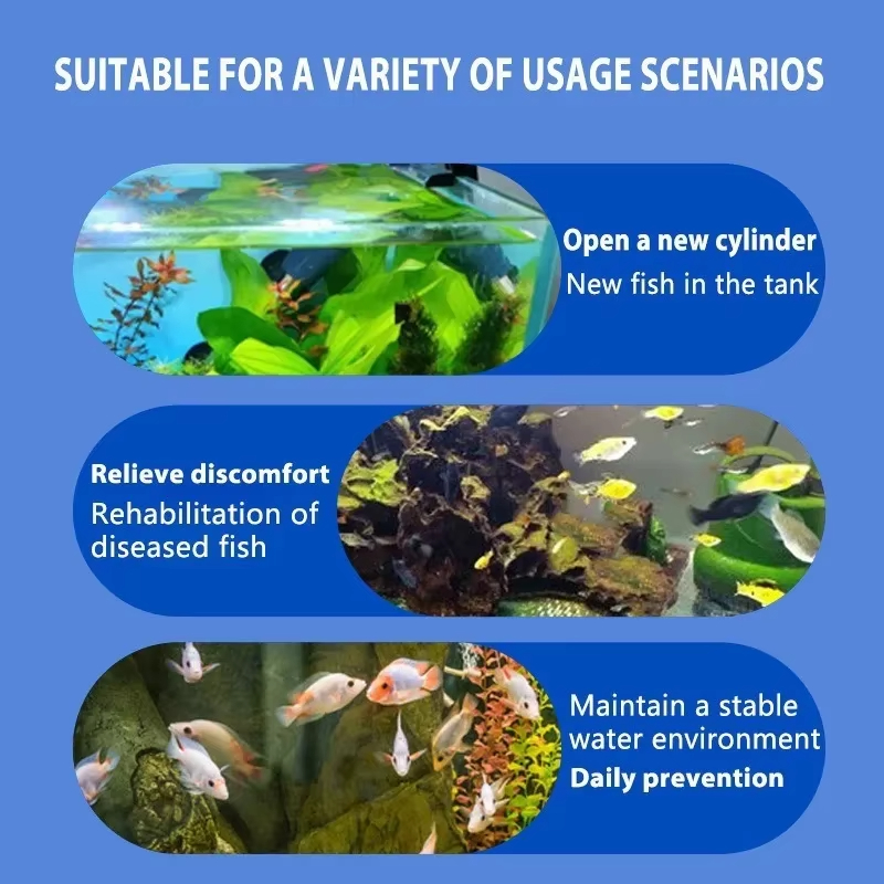 SIKEZHAN Fish Disease Treatmen - огляд і ціна Aquarium Fish Diseases
