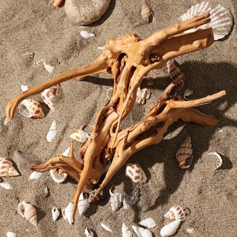 7-26CM 4 Sizes Driftwood Cucko - огляд і ціна Aquarium Fish Diseases