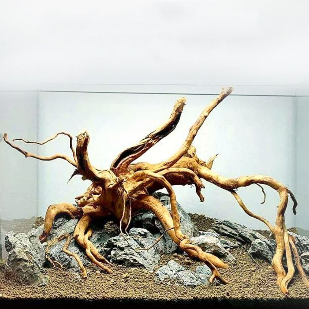 Natural Tree Trunk Aquarium De - огляд і ціна Aquarium Fish Diseases