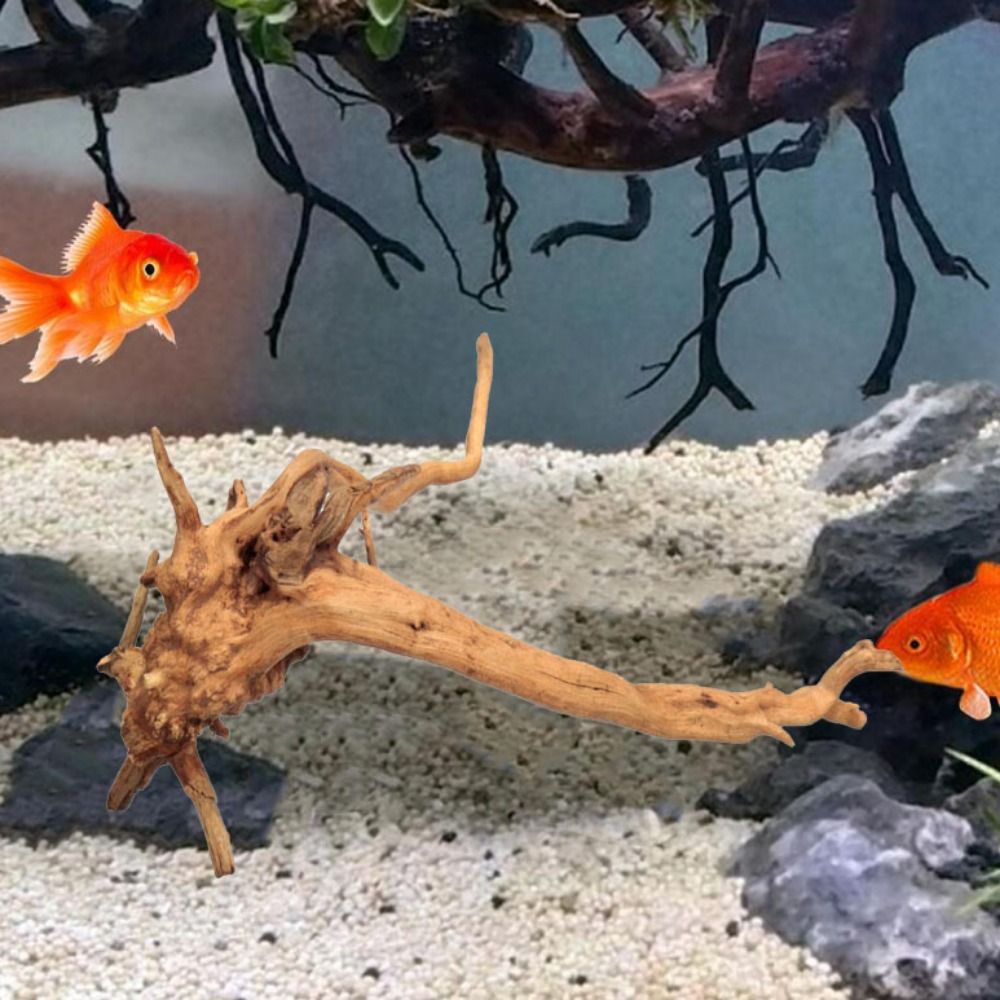 Natural Tree Trunk Aquarium De - огляд і ціна Aquarium Fish Diseases