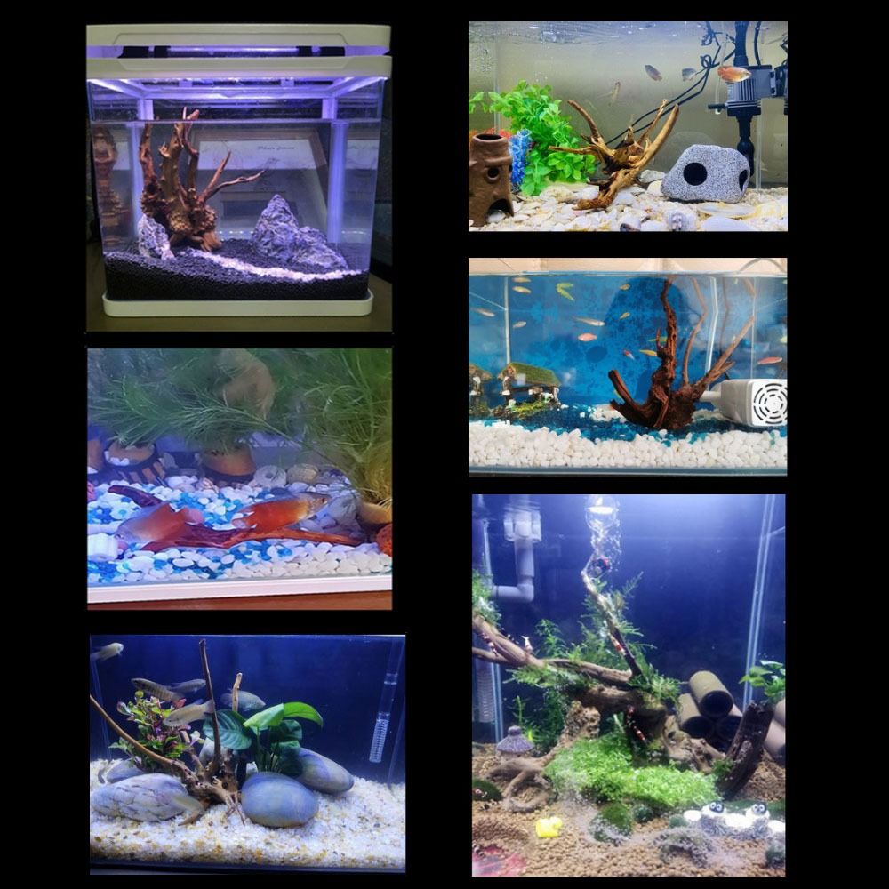 Natural Tree Trunk Aquarium De - огляд і ціна Aquarium Fish Diseases