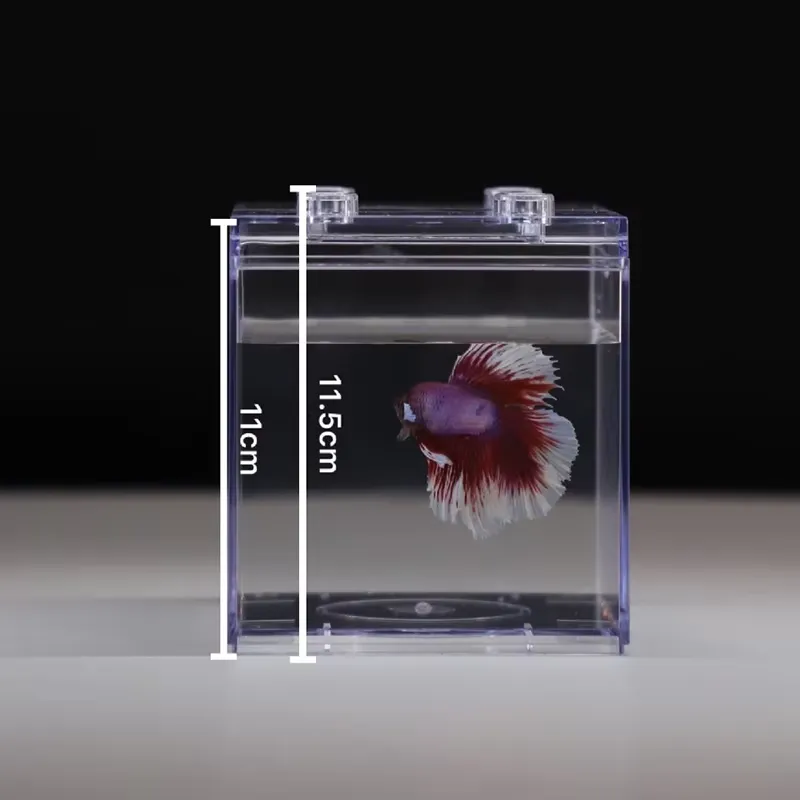 Relaxlines Mini Aquarium Box T - огляд і ціна Aquarium Fish Small
