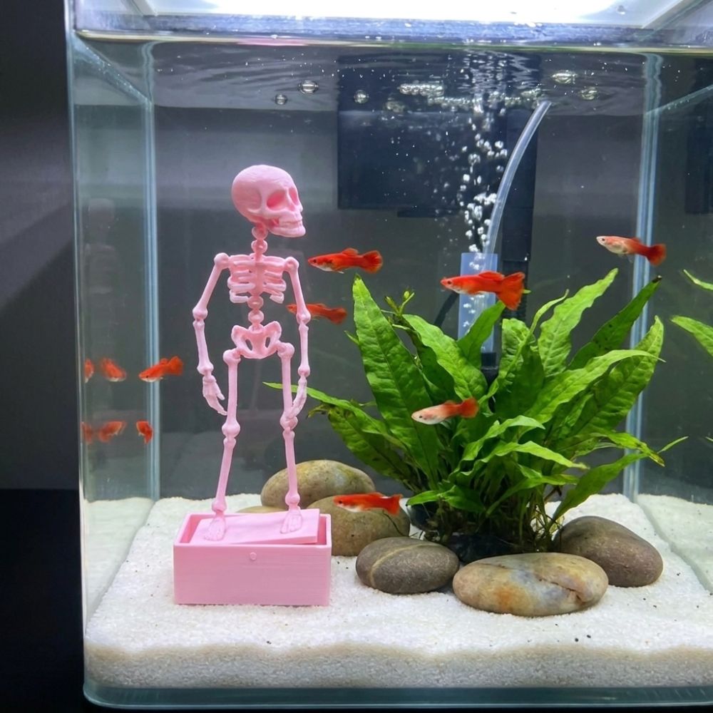 3D Printed Dancing Skeleton Aq - огляд і ціна Aquarium Fish Diseases