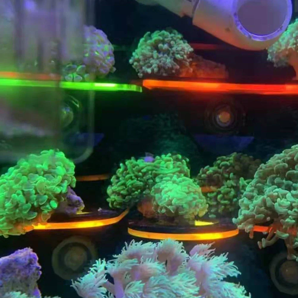 Fish Tank Acrylic Fluorescent  - огляд і ціна Aquarium Fish Marine