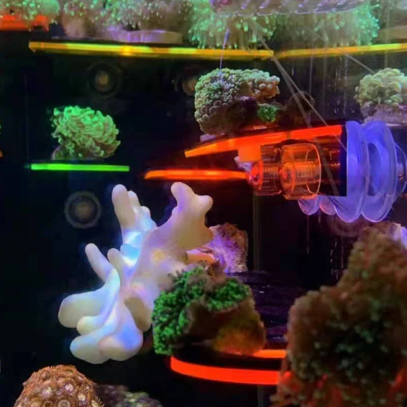 Fish Tank Acrylic Fluorescent  - огляд і ціна Aquarium Fish Marine