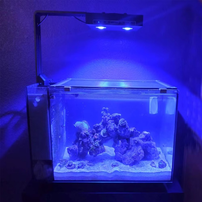 China Supplier Dimmable 95W Fu - огляд і ціна Aquarium Fish Supplier