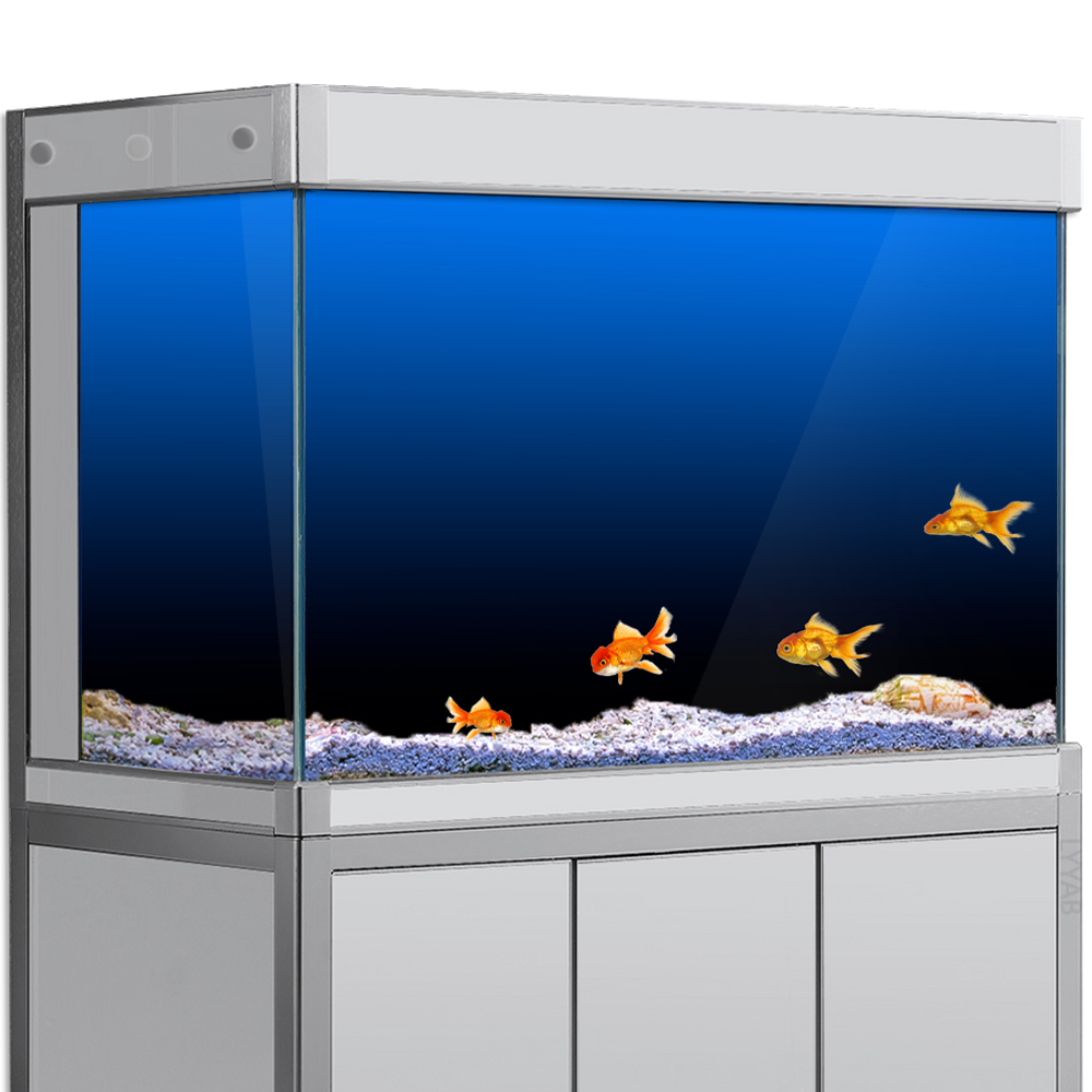 Fish Tank Background Sticker B - огляд і ціна Aquarium Fish Black
