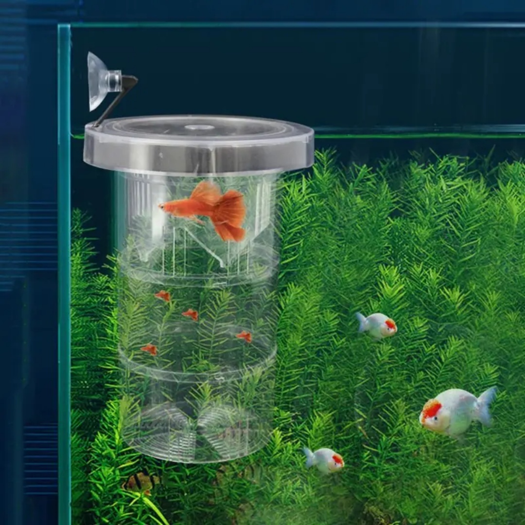 Acrylic Floating Fish Breeding - огляд і ціна Aquarium Fish Real